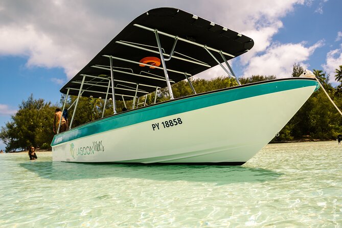 Private tour whale watching and snorkeling in Moorea - Lagoon options when the sea is rough