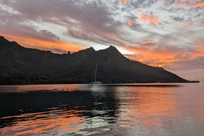 Private Tour Whale Watching Half Day Tour - Who will enjoy this Moorea whale tour most