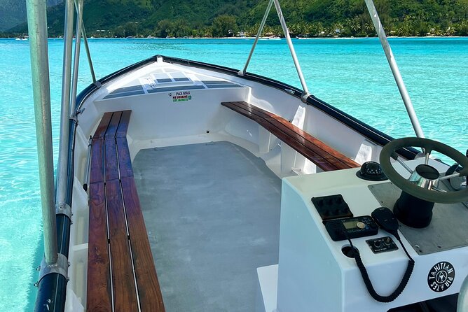 Private Whale Watching Adventure in Mo'orea - What the private price really buys you