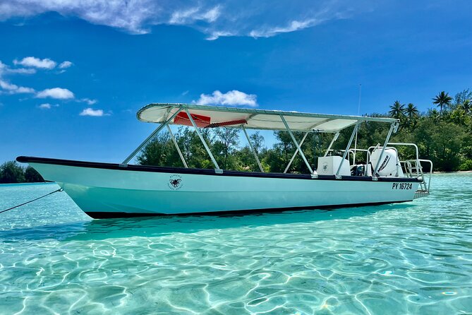 Private Whale Watching Adventure in Mo'orea - Weather can change the entire morning