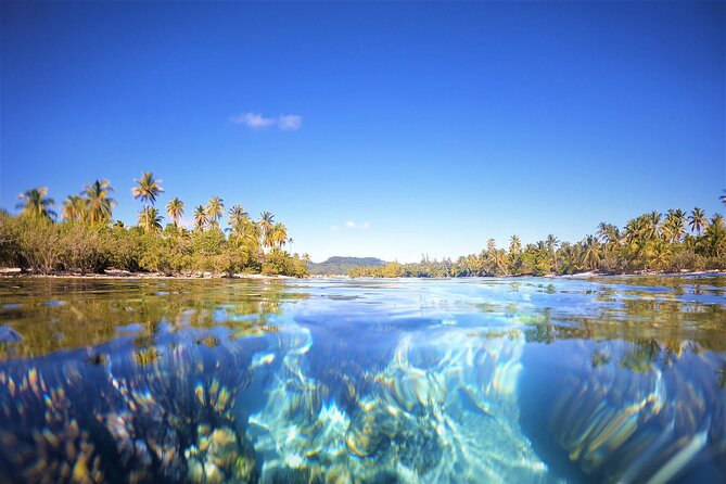 Raiatea-Tahaa Snorkeling in our beautiful Coral Garden - Meeting point, timing, and cancellation