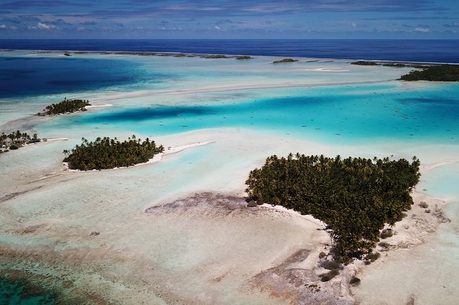 Rangiroa 2-tank Certified Scuba Dive - What you might see during the two tank-based outings