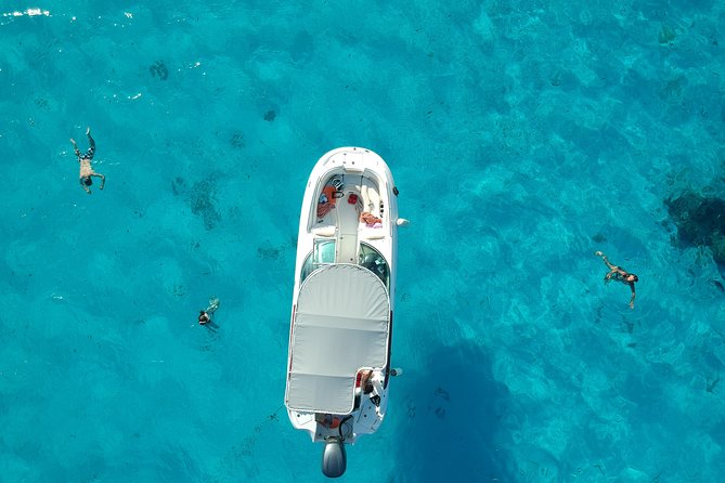 Reef Discovery Half Day Group Signature Tour - Key points to know before you book