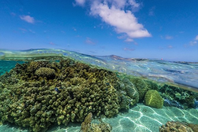Reef Discovery Half Day Group Signature Tour - Boat comfort and what is included