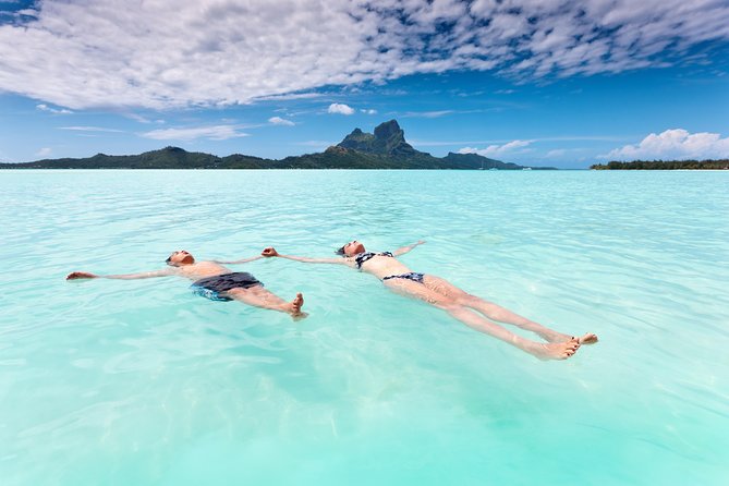 Reef Discovery Half Day Group Signature Tour - Who should book this experience?