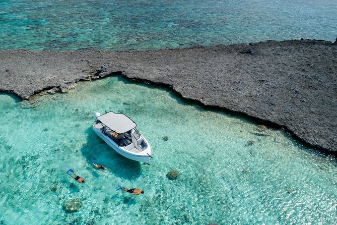 Reef Discovery Luxury Private Snorkeling Lagoon Tour - Snorkeling with a guide who pays attention