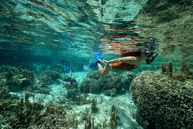 Reef Discovery Luxury Private Snorkeling Lagoon Tour - Timing, comfort, and practical details