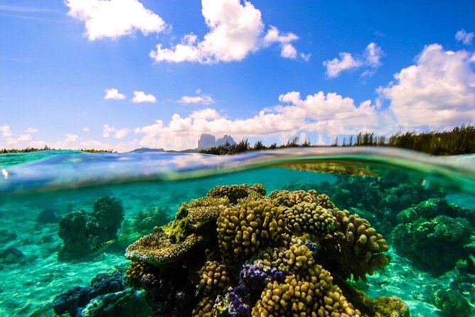 Reef Discovery Private Full Day Lagoon Tour & Water Lunch - My call: is Reef Discovery worth booking?