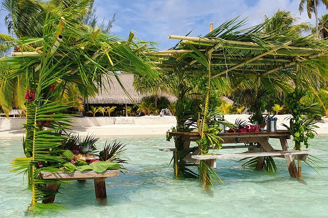 Reef Discovery Private Half Day Lagoon Tour - Pickup from a hotel or port
