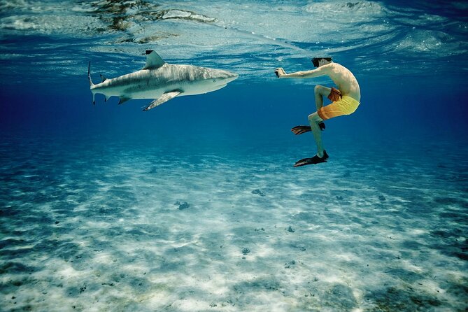 Reef Discovery Private Half Day Lagoon Tour - Is $783.76 good value?