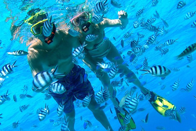 Reef Discovery Private Half Day Lagoon Tour - Morning and afternoon timing