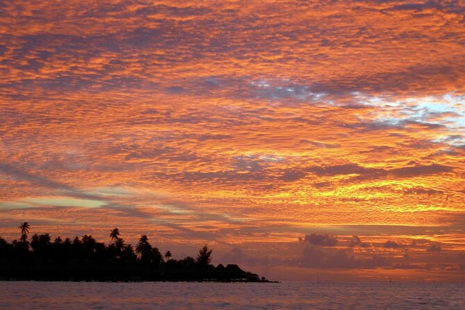 Reef Discovery Private Sunset Cruise in Bora-Bora - A guide can add more than a sunset view