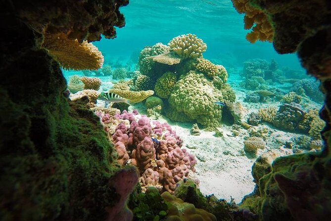 Reef Discovery Private Treasure Hunt - Stop one: finding your bearings in the lagoon