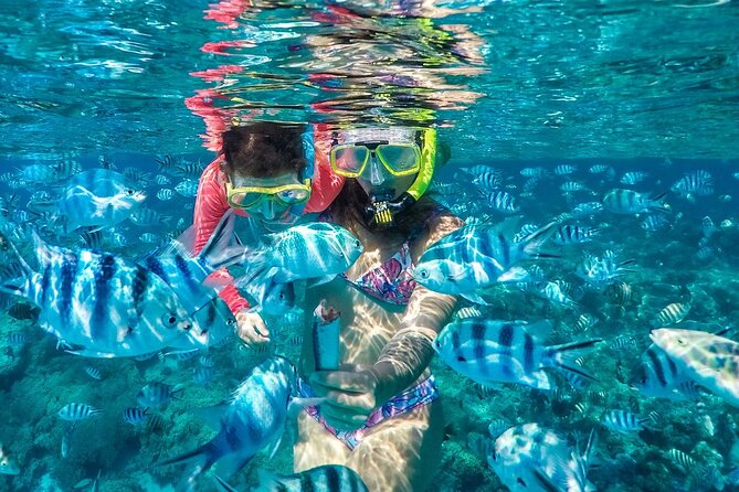 Reef Discovery Private Treasure Hunt - The 9:00 a.m. start and pickup from your accommodation