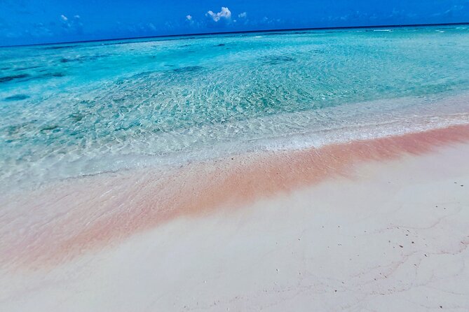 REEF ISLAND | private island | pink sand | natural swimming pools - Why Reef Island feels different from a standard lagoon trip