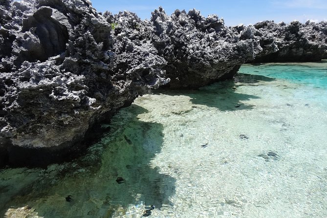 REEF ISLAND | private island | pink sand | natural swimming pools - Free time in the pools