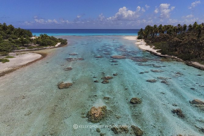 REEF ISLAND | private island | pink sand | natural swimming pools - Tiputa Pass and the chance to see dolphins