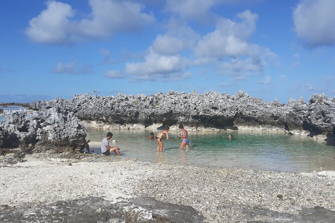 Reef island private tour - What the $1,121.21 price means