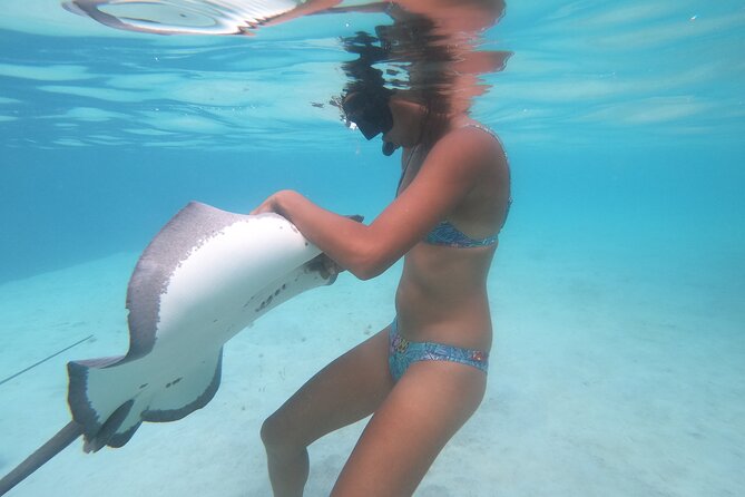 Respectful whale excursion to Tahiti in 4h30 - How much value do you get for $222.11?