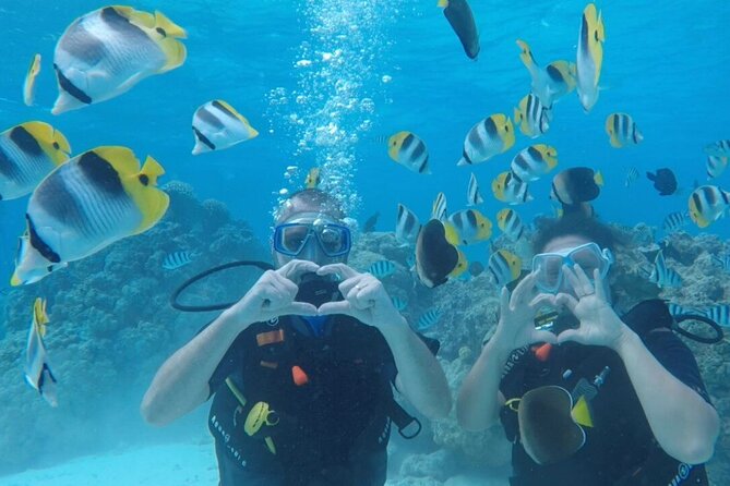 Romantic Dive for beginners in Bora Bora (2 people) with Video - A first look beneath Bora Bora’s surface