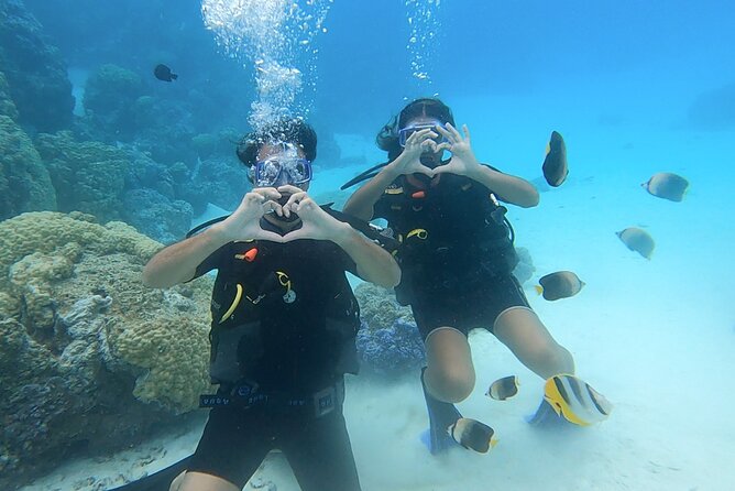 Romantic Dive for beginners in Bora Bora (2 people) with Video - Meeting at Eleuthera Bora Diving Center