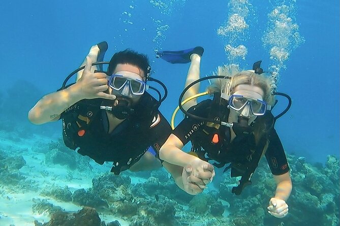 Romantic Dive for beginners in Bora Bora (2 people) with Video - Meeting tropical fish in Bora Bora