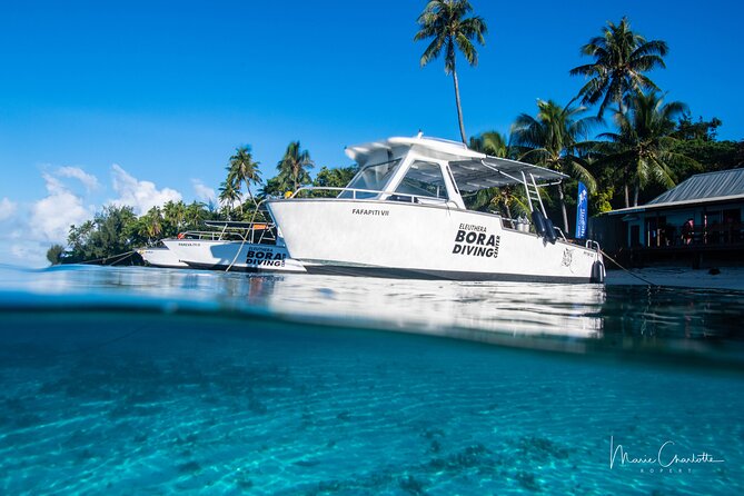 Romantic Dive for beginners in Bora Bora (2 people) with Video - Weather and cancellation flexibility