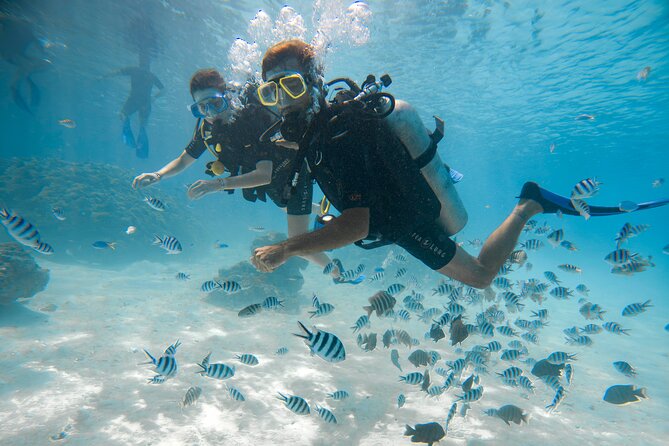 Romantic dive in the lagoon of Bora Bora. Private instructor on a shared boat - Practical Details That Matter on the Day