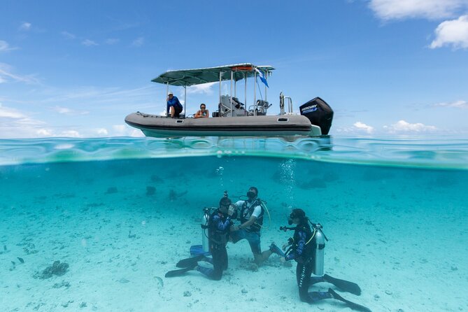 Romantic dive in the lagoon of Bora Bora. Private instructor on a shared boat - A Two-Hour Plan Built Around the Lagoon