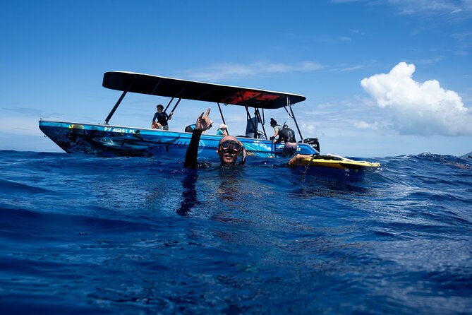 Sacred Experience Swimming with a Whale in Moorea - Leaving Marina Vaiare for the open water
