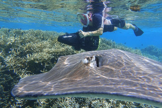 Sea Scooter Jet Snorkeling "Moorea Dream Adventure" - What the crew does well
