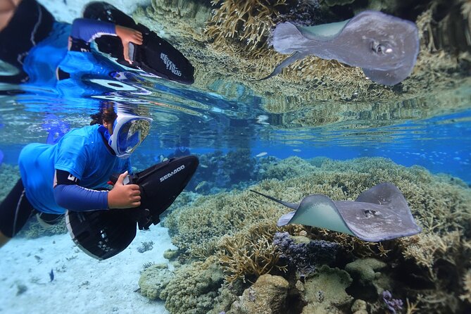 Sea Scooter Jet Snorkeling "Moorea Dream Adventure" - Is the $174.63 price fair?