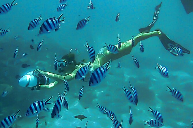 Sea Scooter Snorkel Tour - Lagoon Discovery : Wrecks, Coral Gardens and Tropical Fishies - Why the sea scooter changes the snorkeling experience