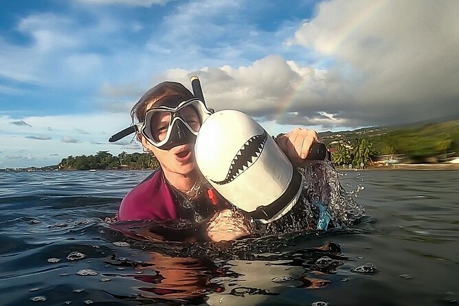 Sea Scooter Snorkel Tour - Lagoon Discovery : Wrecks, Coral Gardens and Tropical Fishies - Plane wrecks, boat wrecks, and the coral garden