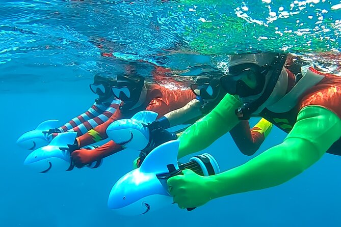 Sea Scooter Snorkel Tour - Lagoon Discovery : Wrecks, Coral Gardens and Tropical Fishies - What you might see beneath the lagoon