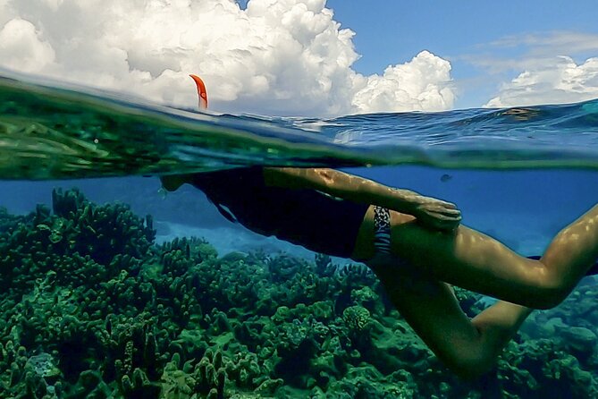 Sea Scooter Snorkel Tour - Lagoon Discovery : Wrecks, Coral Gardens and Tropical Fishies - Is the $109 price fair?