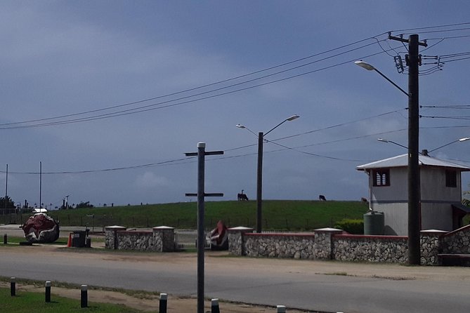 See Hear and Experience Full Island tour - Nuku’alofa’s royal and civic sights
