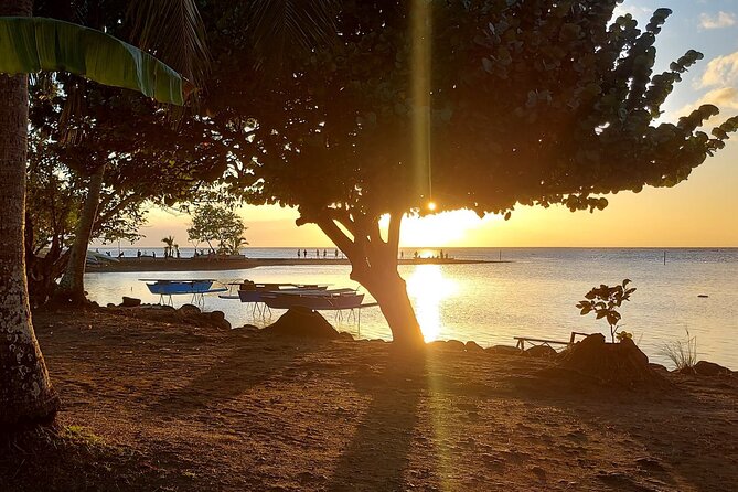 Shared 4.5h Circle Island Tour of Tahiti Nui by Lydia - Mara’a Grotto: a lava tube with freshwater pools