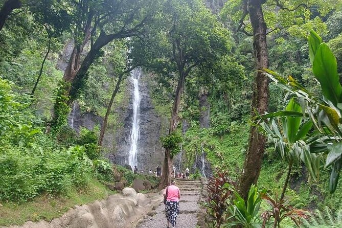 Shared 4.5h Circle Island Tour of Tahiti Nui by Lydia - Vaimahuta Waterfall: a quick inland change of scene