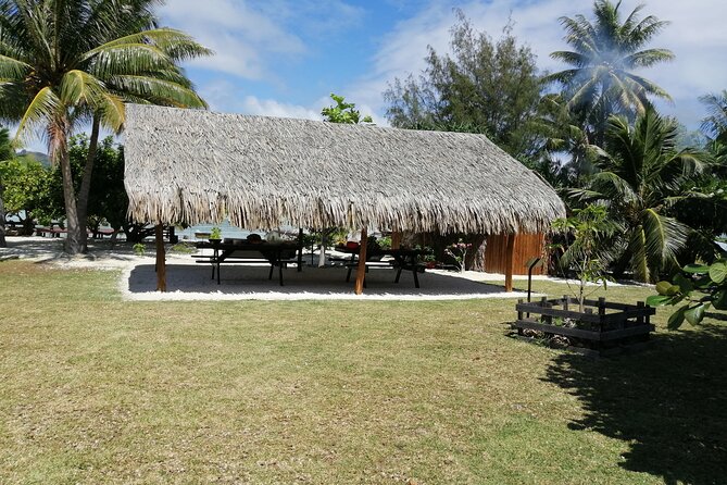 SHARED FULL DAY CULTURAL & LAGOON TOUR - Bora Bora Cultural Lagoon Tour - Who will get the most from this tour