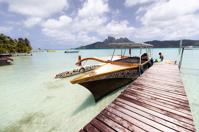 SHARED HALF DAY LAGOON TOUR - Bora Bora Cultural Lagoon Tour - Black tip and lemon sharks from the boat or water