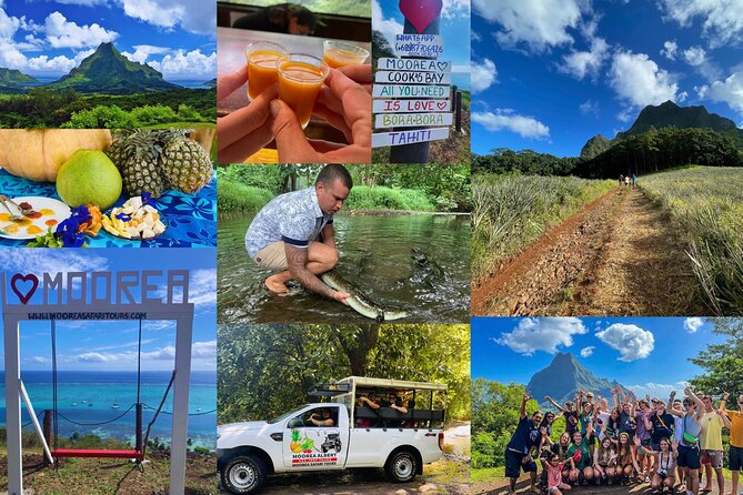 Shared Transfer: Hotel or Cruise Port to Tahiti Airport - Service quality depends on communication
