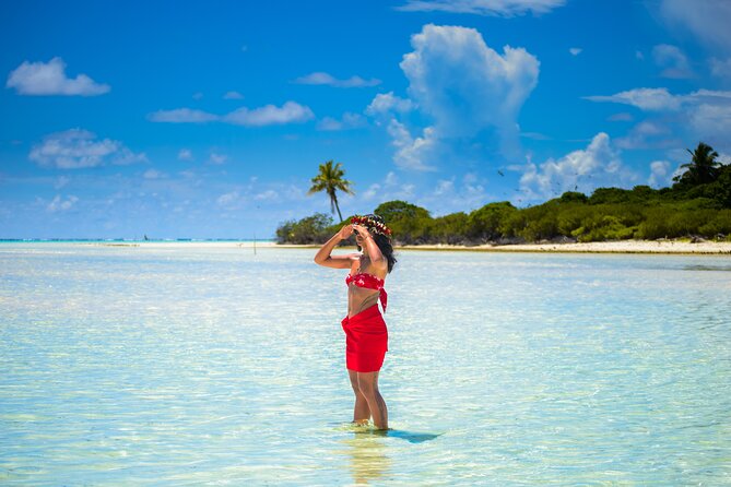 Shared Transfer: Hotel or Cruise Port to Tahiti Airport - Who should book this transfer?
