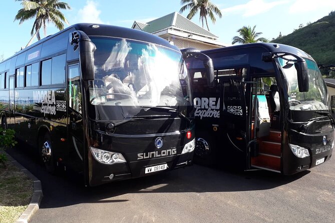 Shared Transfer : Hotel to Moorea Airport (or) Pier - A Practical Last Ride Across Moorea