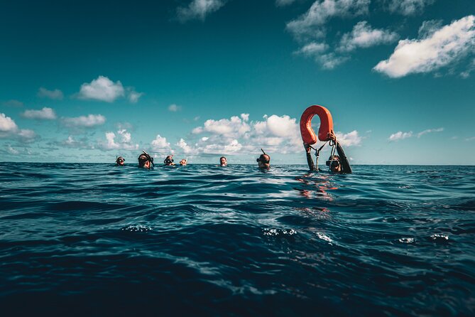 Shared Whale Expedition - Weather, cancellations, and planning around your trip