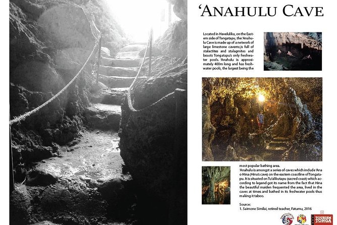 Shore Excursion: 3-Hour Tongatapu East Coast and Anahulu Cave Tour - What the guide can add to the experience