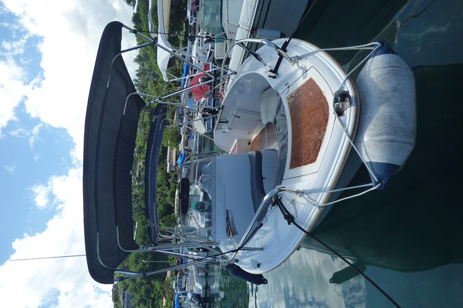 Small group snorkeling (5 people max): Turtles at 7:30am - Who will enjoy this Tahiti snorkeling trip?