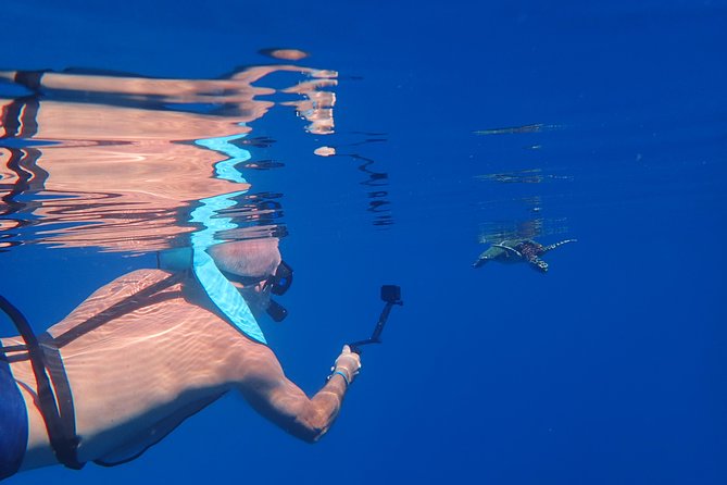 Small group snorkeling (5 people max): Turtles at 7:30am - What to bring and what to expect