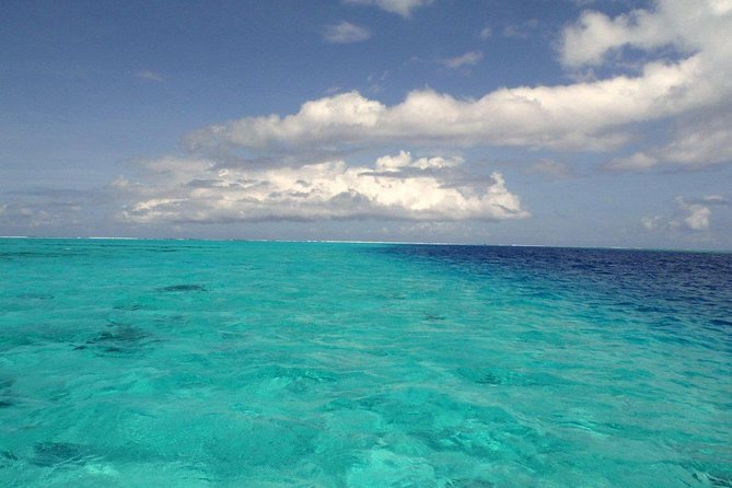 Small group snorkeling (5 people max): wrecks & tropical fishes at 1:00pm - Why the Aquarium site is worth your afternoon