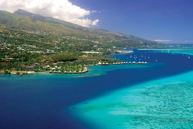 Small group snorkeling (5 people max): wrecks & tropical fishes at 10:30am - Key points to know before you book